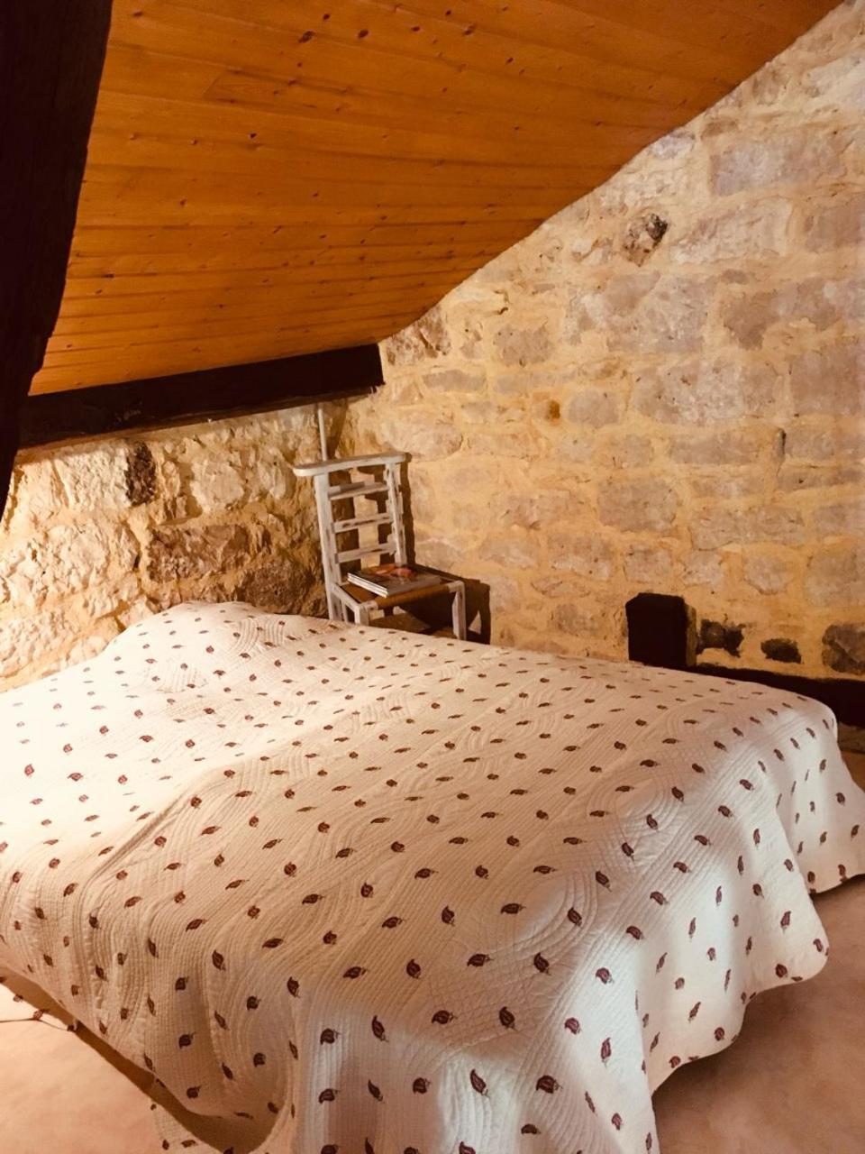 Le Mas Des Papillons Fargues  Εξωτερικό φωτογραφία