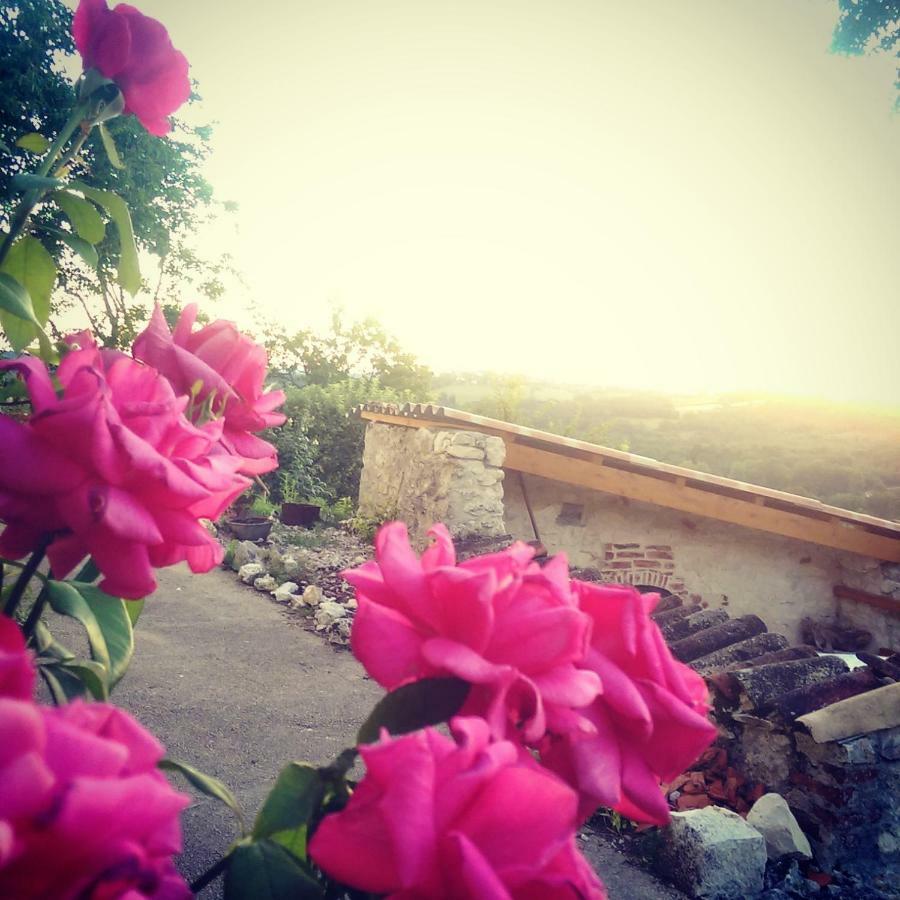 Le Mas Des Papillons Fargues  Εξωτερικό φωτογραφία